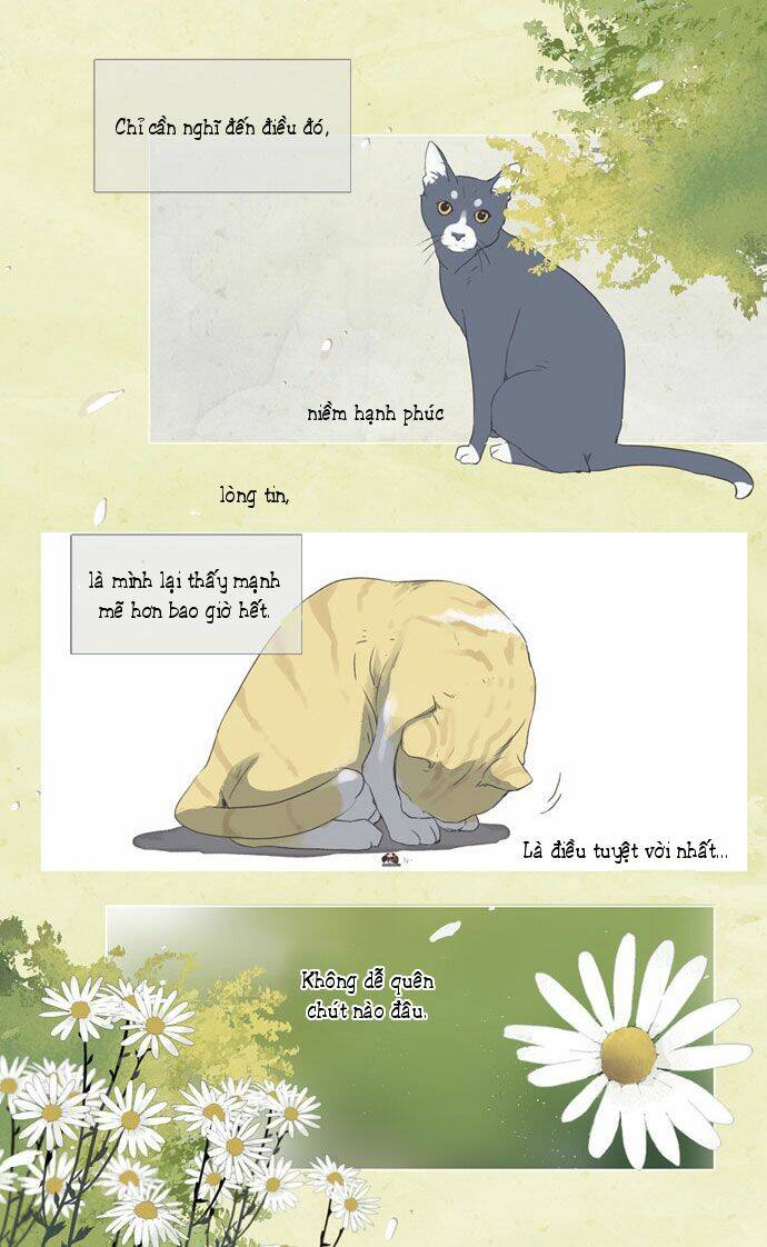 mười chín, hai mươi mốt chapter 14 17