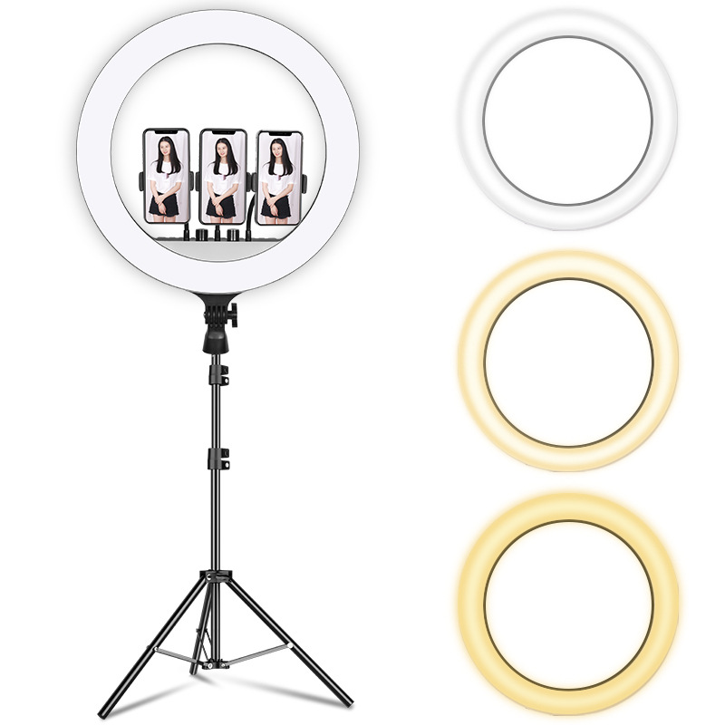 Đèn livestream 54Cm, Đèn Led Trợ Sáng, Chiếu Sáng Studio, Makeup, Quay Phim , Chụp Ảnh, Livetream, Selfie, Xăm nghệ thuật Kèm Kẹp Điện Thoại Tùy Chỉnh