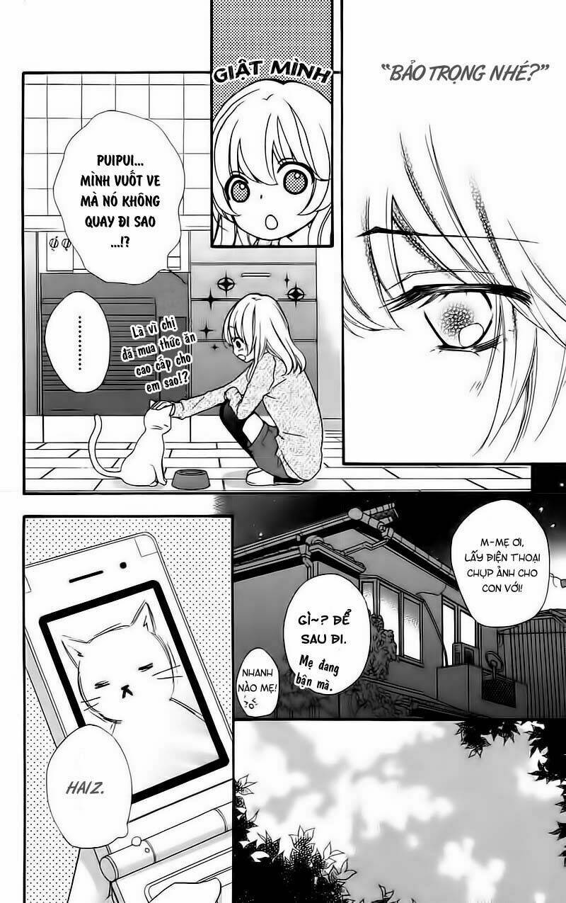 tình yêu của hiyo chapter 16 8