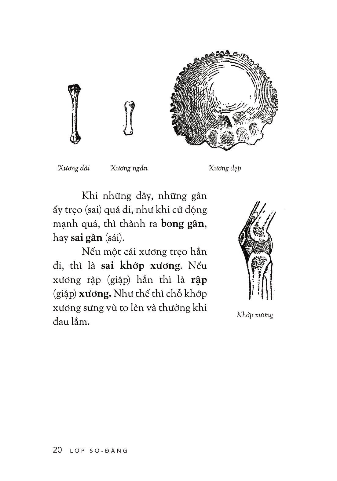 Cách Trí Giáo Khoa Thư