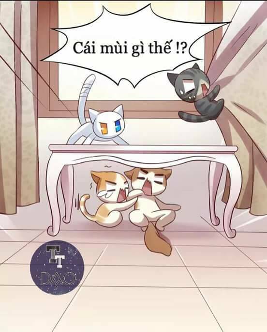 thị hoang chi thần chapter 6 21