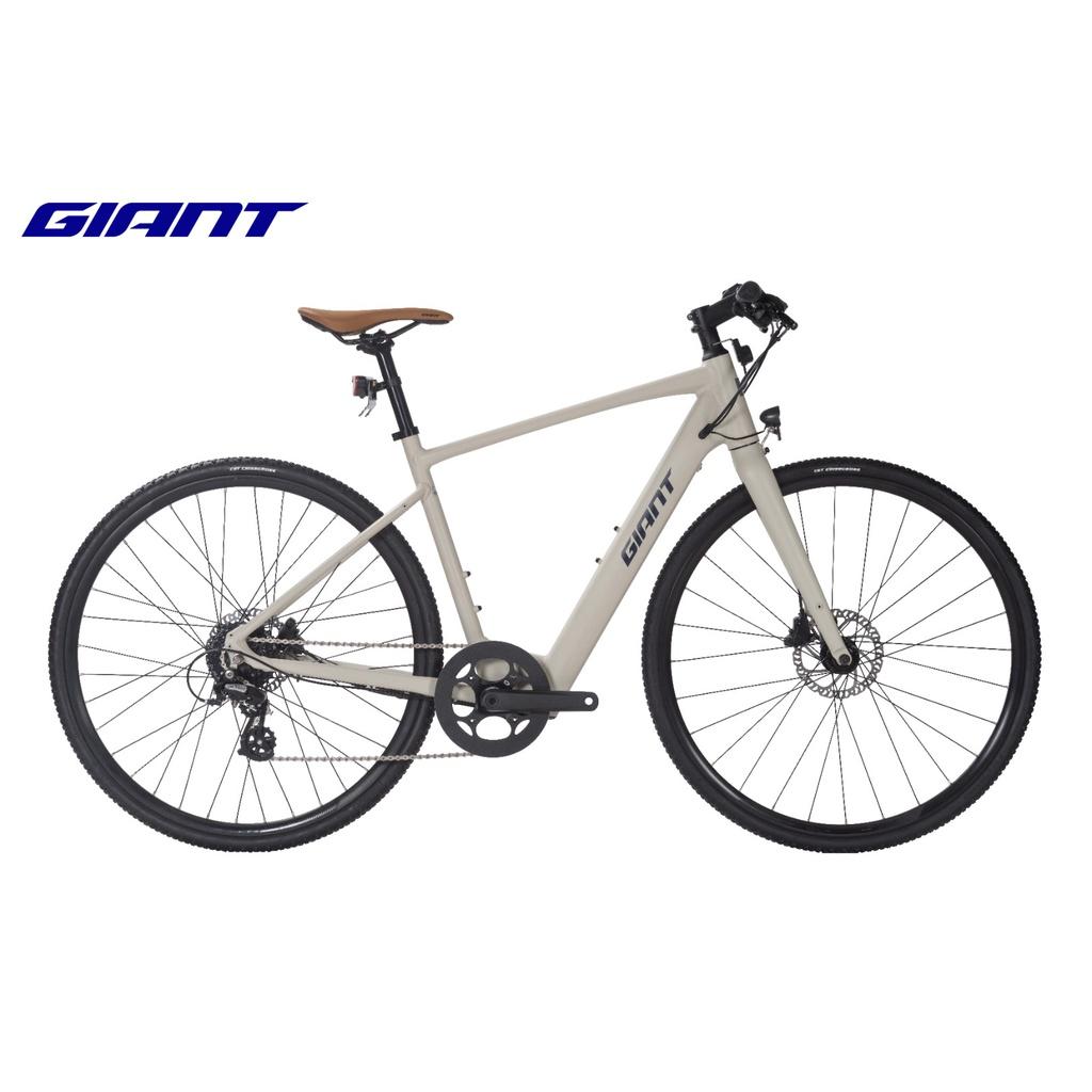 Xe đạp trợ lực điện GIANT FASTER E