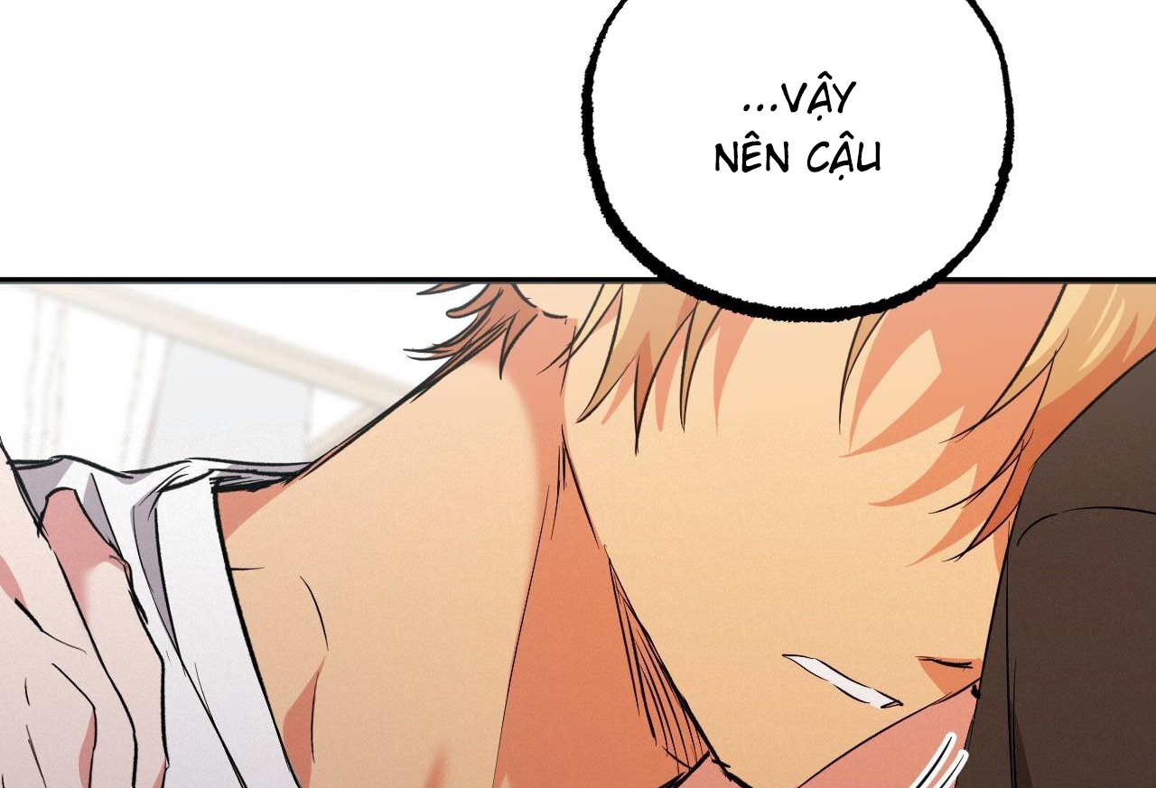 những chú thỏ của hapypy chapter 57 89