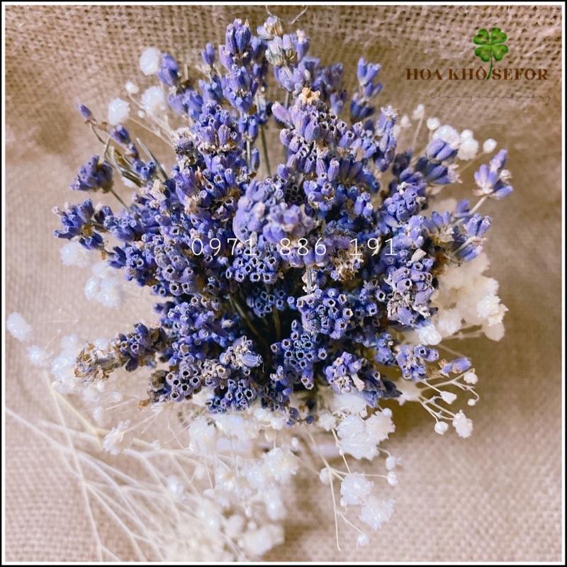 Hoa khô Lavender ️Lọ hoa Lavender để bàn, làm quà tặng