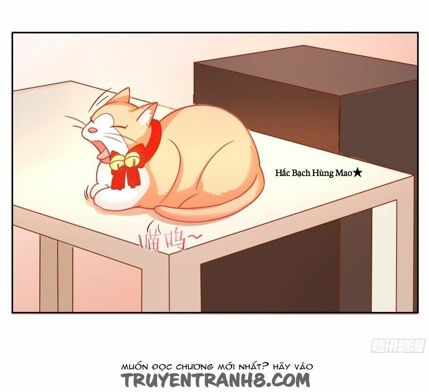 chủ nhân là ảnh đế chapter 1.6 3