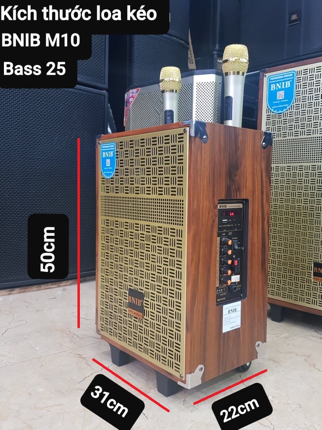 Loa kéo Karaoke Bluetooth BNIB M10: Bass 25, Có 2 Micro không dây đi kèm