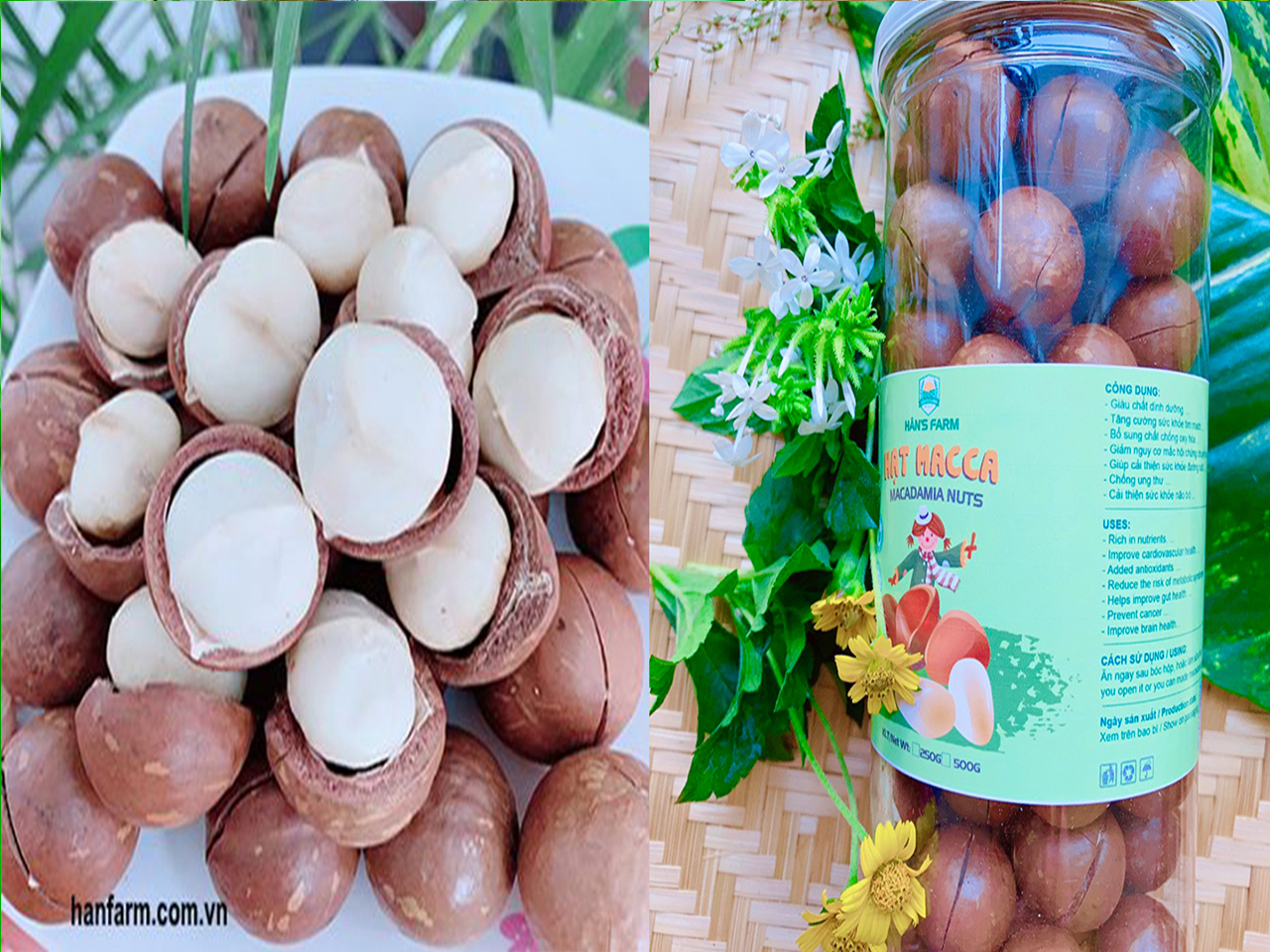Macca sấy nứt vỏ _ Dry roasted macadamia nuts with cracked shell size 22>25mm