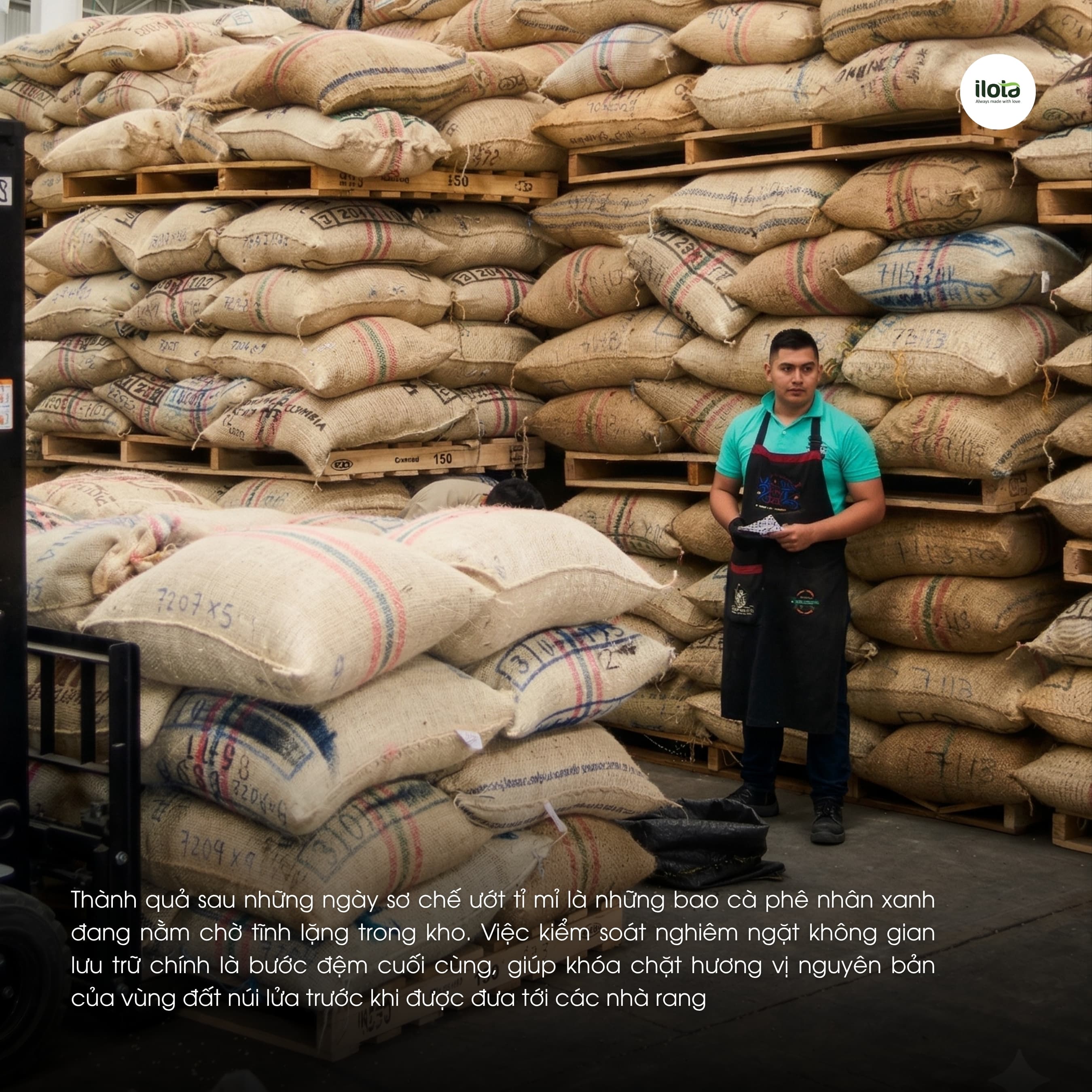 Cà phê Colombia Huila Supremo ILOTA Rang Mộc 250g
