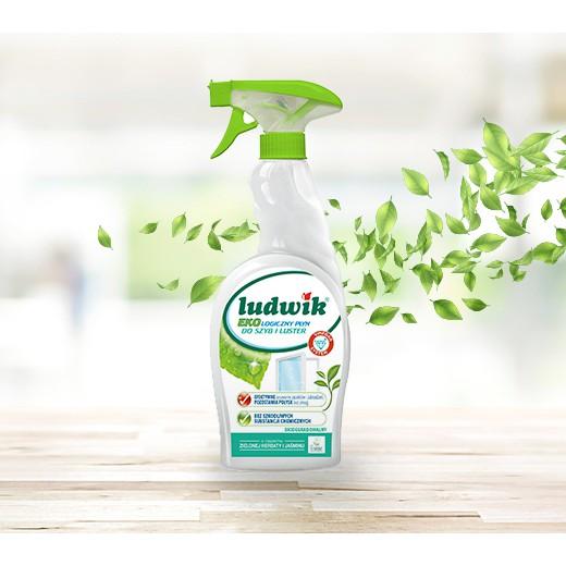 Dung dịch vệ sinh nhà bếp Ludwik eco-loại 750 ml
