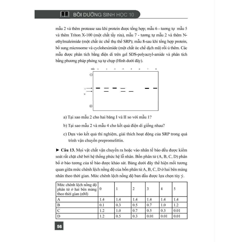 Sách - Bồi dưỡng sinh học 10 (Bộ sách Alpha Biology)