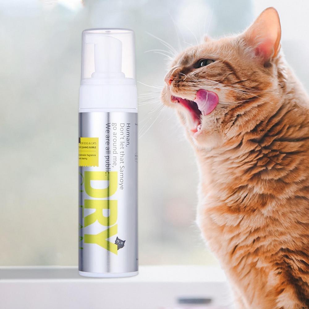 Dầu Gội Khô DRYCLEAN️ Chó Mèo Pet Dry Shampoo, Dog Dry Shampoo Safe & Healthy 200ML
