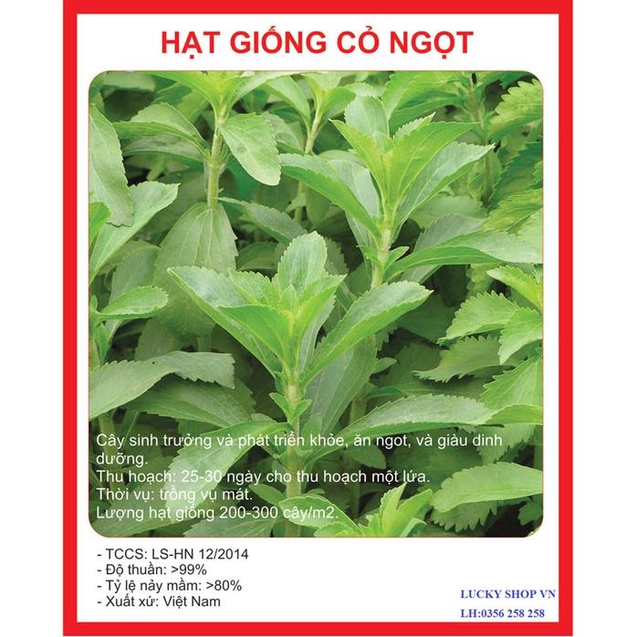 Hạt giống cỏ ngọt stevia (cúc ngọt) CT232 - Gói 20 hạt