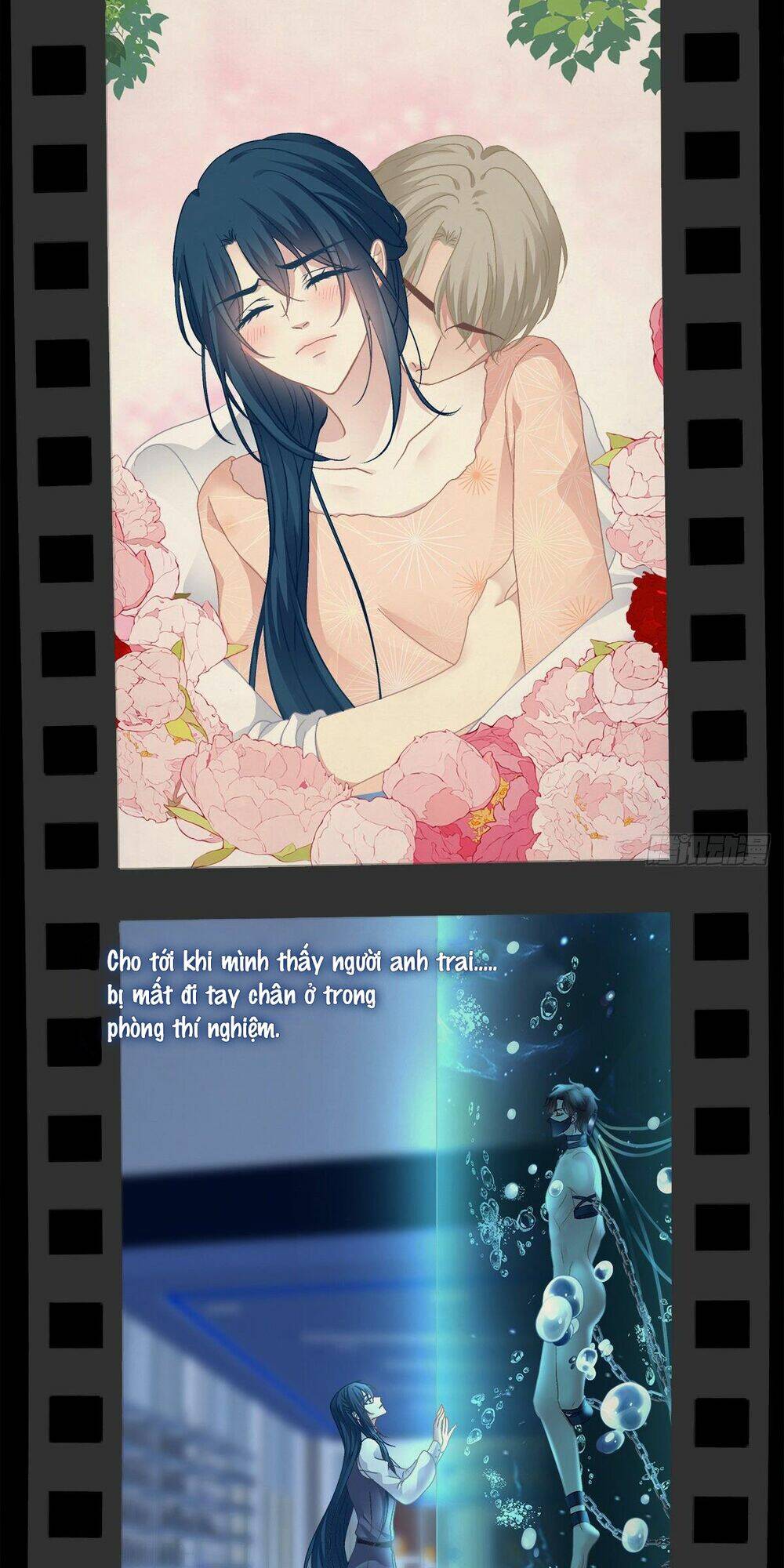 toàn bộ nắm trong tay chapter 110 41