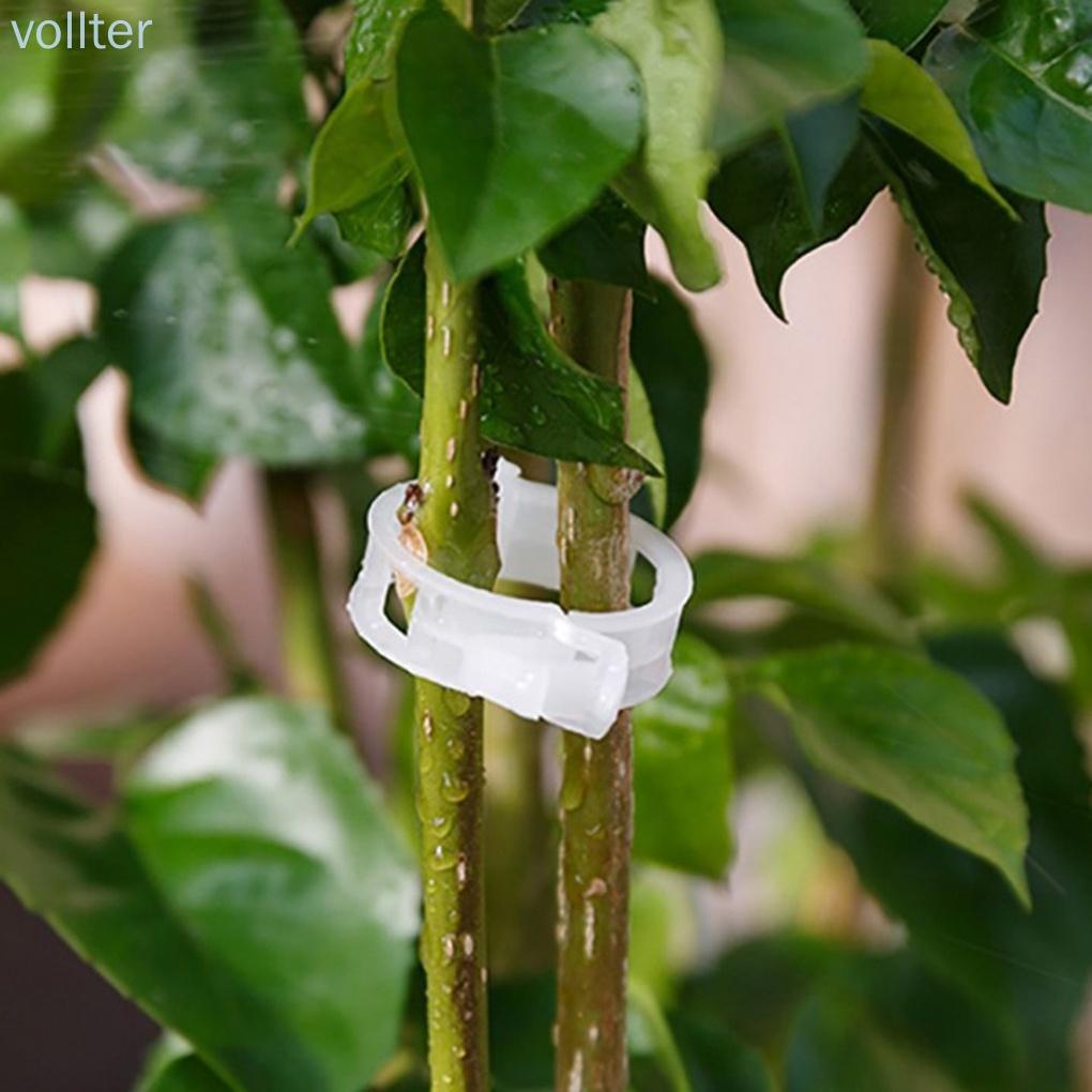 50PCS/Set Reusable Plastic Plant Support Clips Plants Hanging Vine Garden Greenhouse Vegetables Tomatoes Clip -VOLLTER