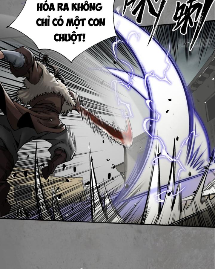 Tạng Phong Hành chapter 207 61