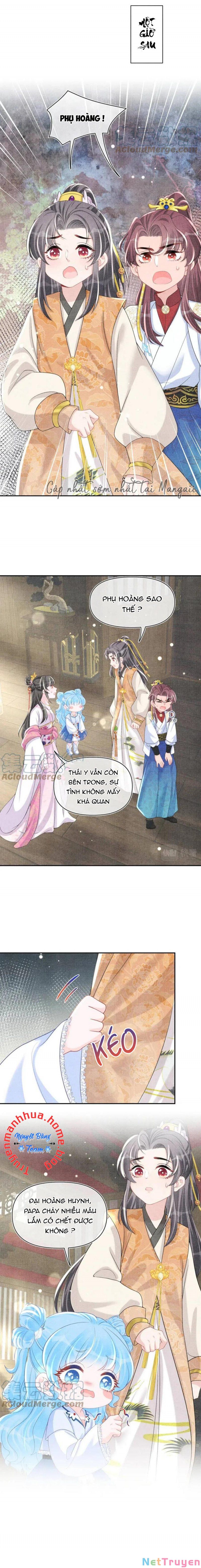 nhóc con người cá 3 tuổi rồi chapter 198 4