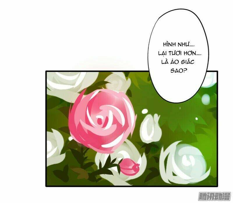 đam mỹ lời ngụy biện chapter 21 4