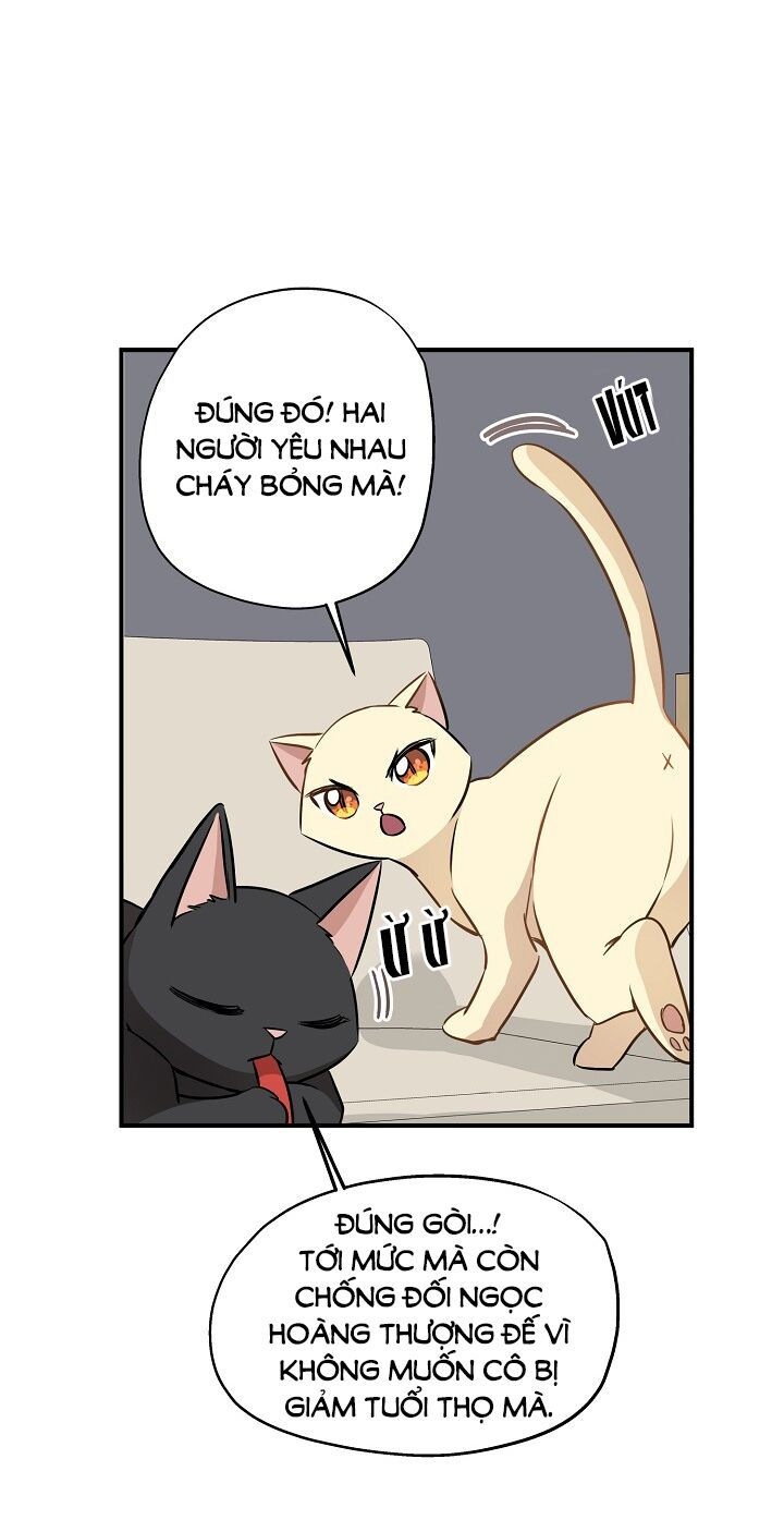 cuộc sống kỳ thú chapter 58 24