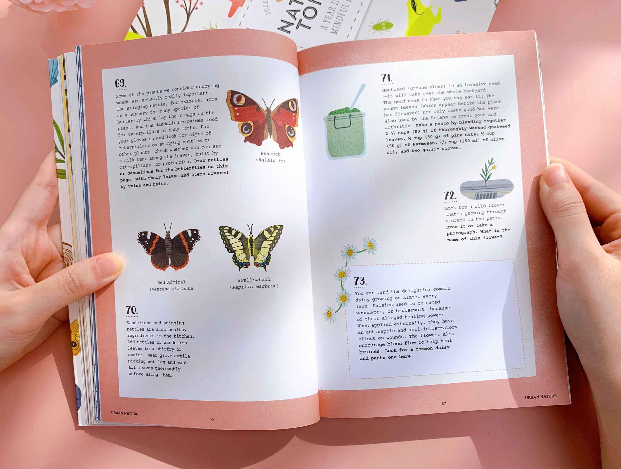 Nature Tonic: A Year in My Mindful Life
