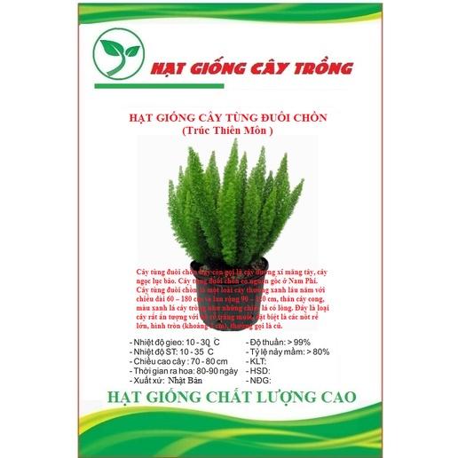 Hạt Giống Cây Tùng Đuôi Chồn Trúc Thiên Môn CT525 - Gói 5 hạt
