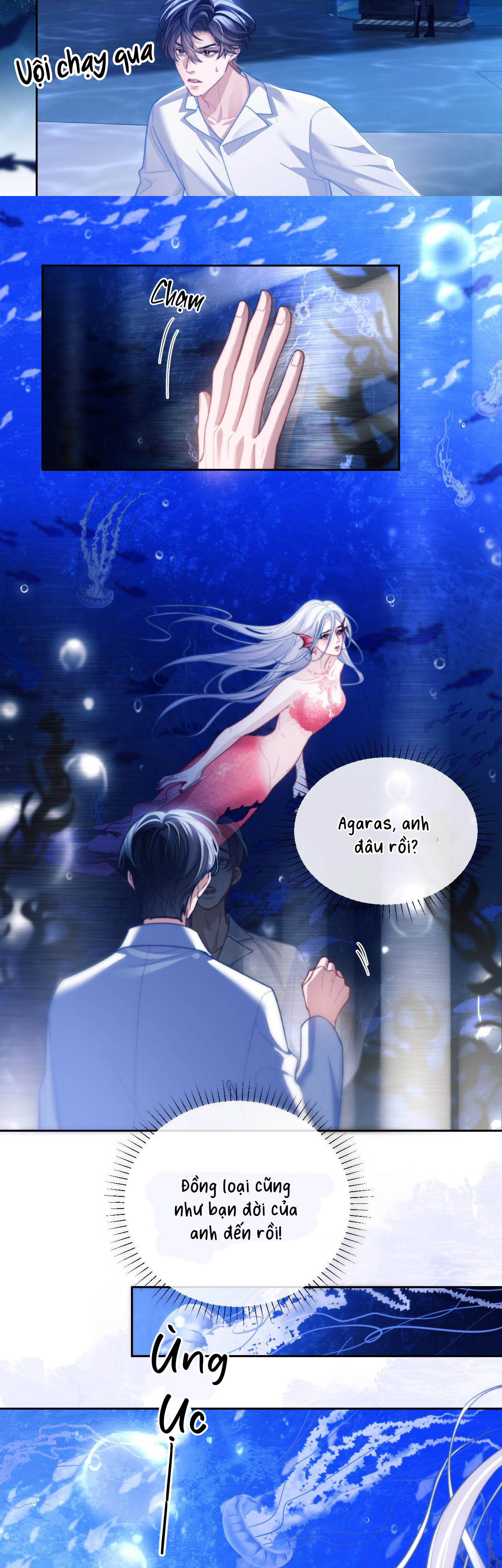 nhân ngư dessaro chapter 12 12