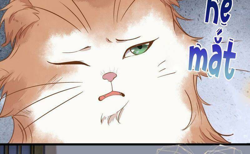 sát thủ vương phi không dễ chọc chapter 37 47