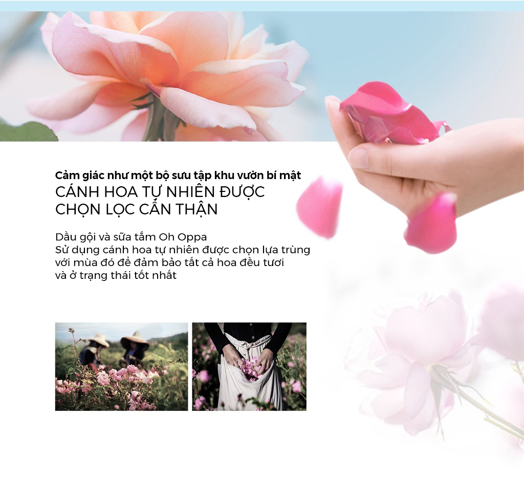 Sữa tắm cao cấp OH OPPA Hương Hoa Cúc La Mã Quyến Rũ cấp ẩm cho da, tạo độ đàn hồi, làm trẻ hóa làn da, mùi hương thu hút