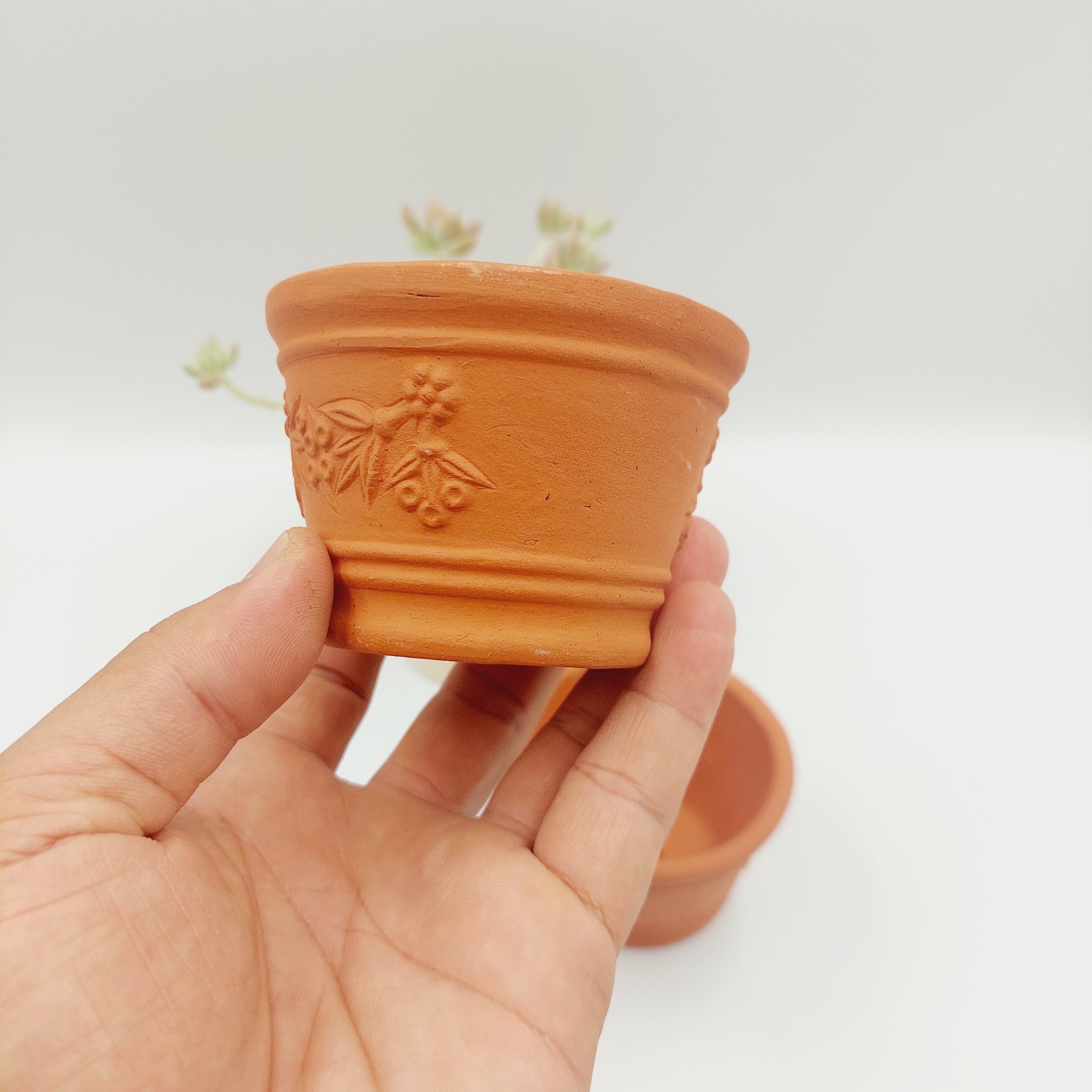 Chậu đất nung, chậu sen đá - Ly dây chùm nho 755, miệng chậu 7.5cm, chiều cao 5cm