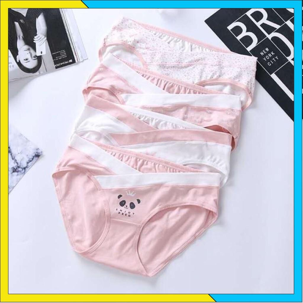 Xả Kho Túi Gồm 4 Quần Lót Bầu Cute Chất Liệu Cotton