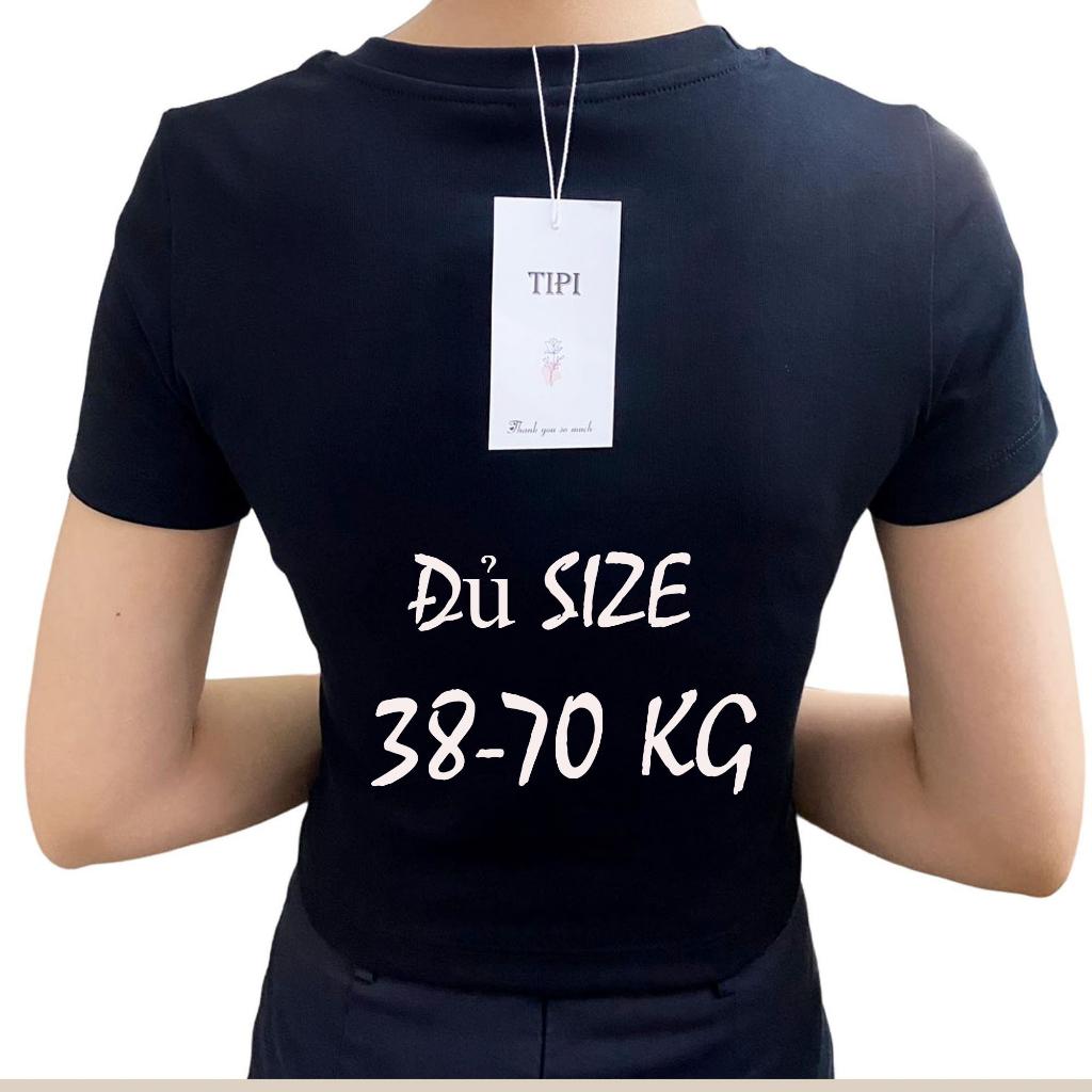 Áo croptop nữ cổ tròn tay ngắn, chất 100% cotton Zip, croptop cổ tròn ngắn tay trơn phong cách Hàn Quốc