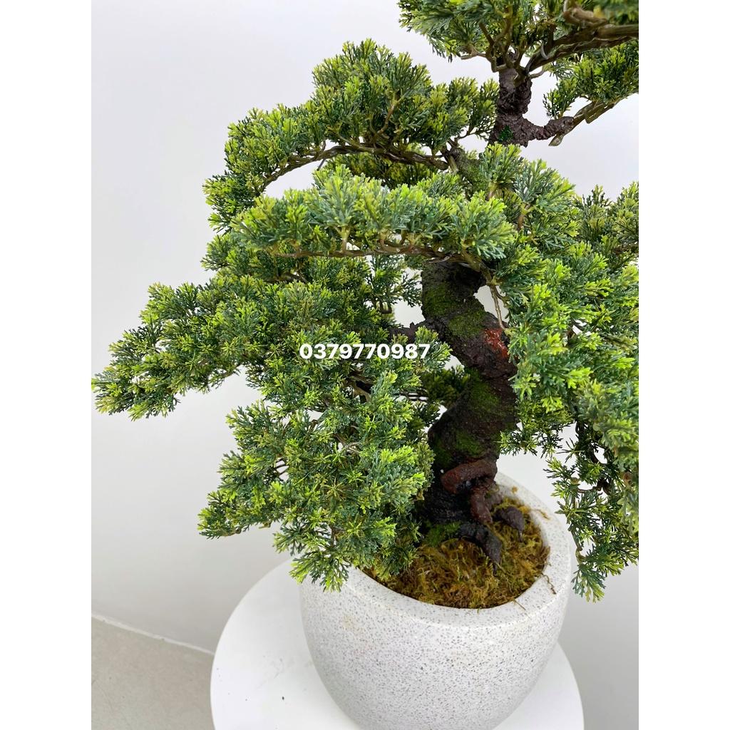 Cây Tùng Giả Lá Ngắn, Cây Bonsai giả Decor trang trí nhà cửa