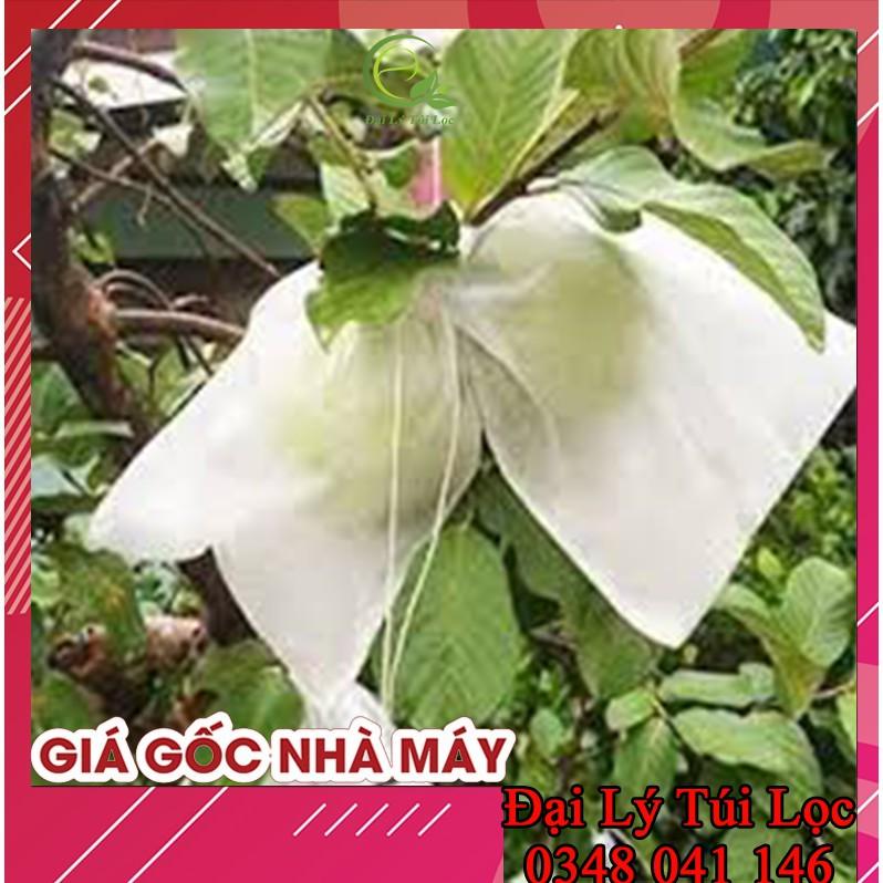 100 Túi Bọc Ổi Bưởi Xoài Na
