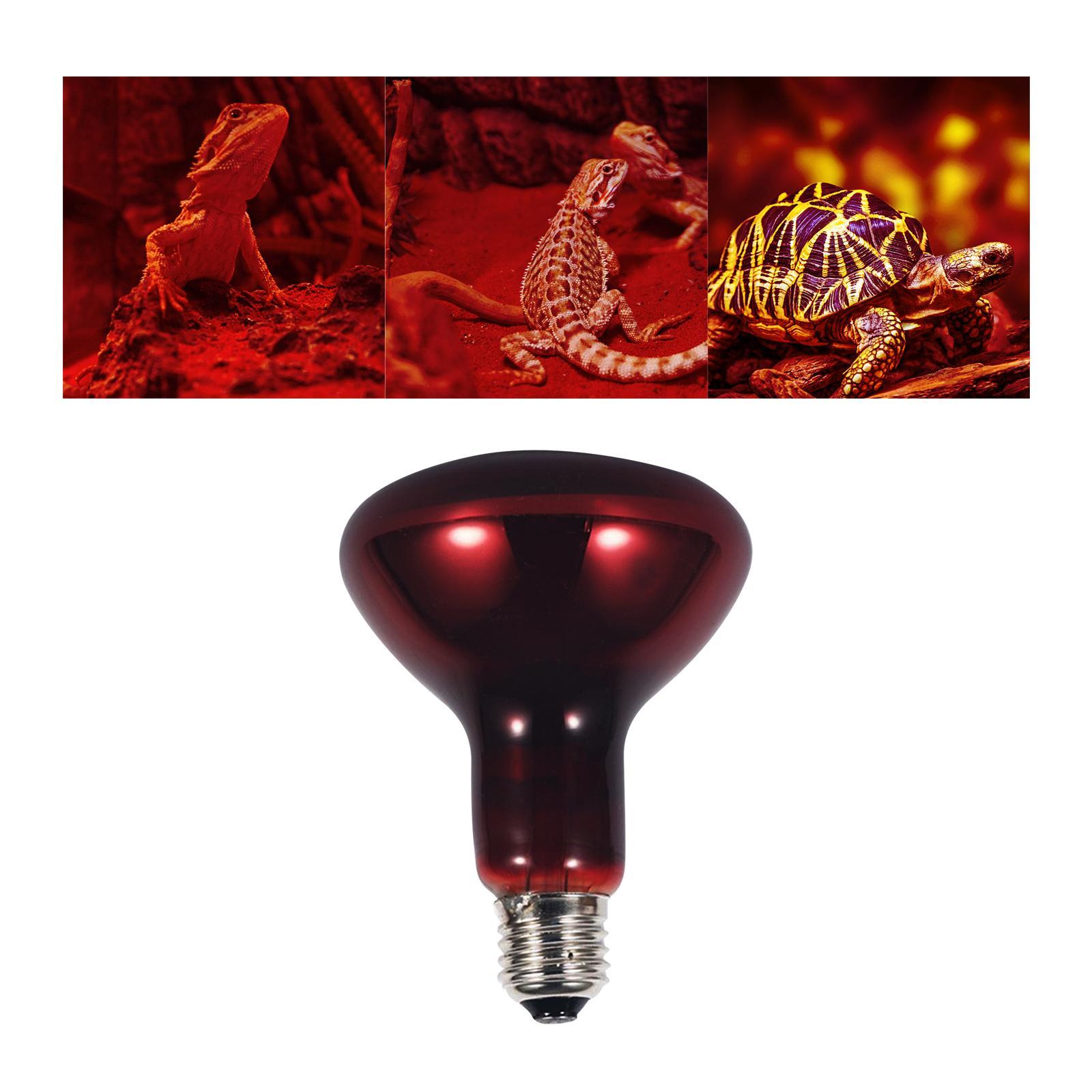 E27 Reptile Light Bulb Heating Lamp Hedgehogs Pet Supplies 100W Warm
