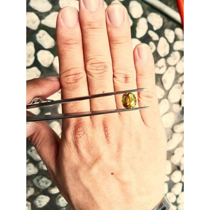 Kẹp gắp đá chuẩn GEMS