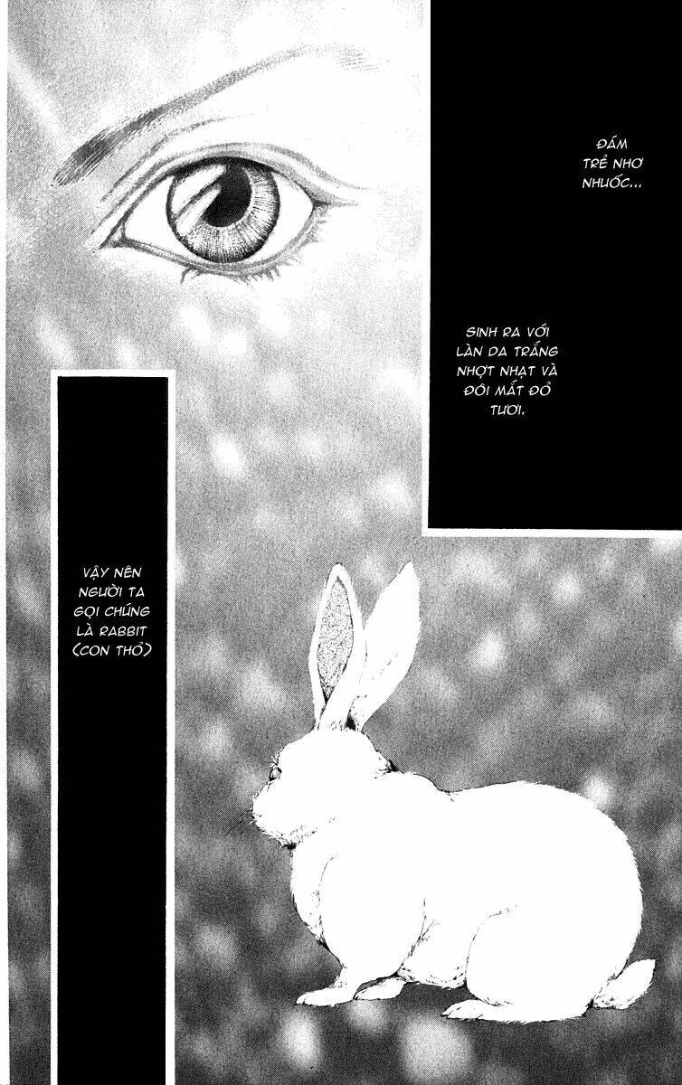 tình yêu loạn luân chapter 63 4