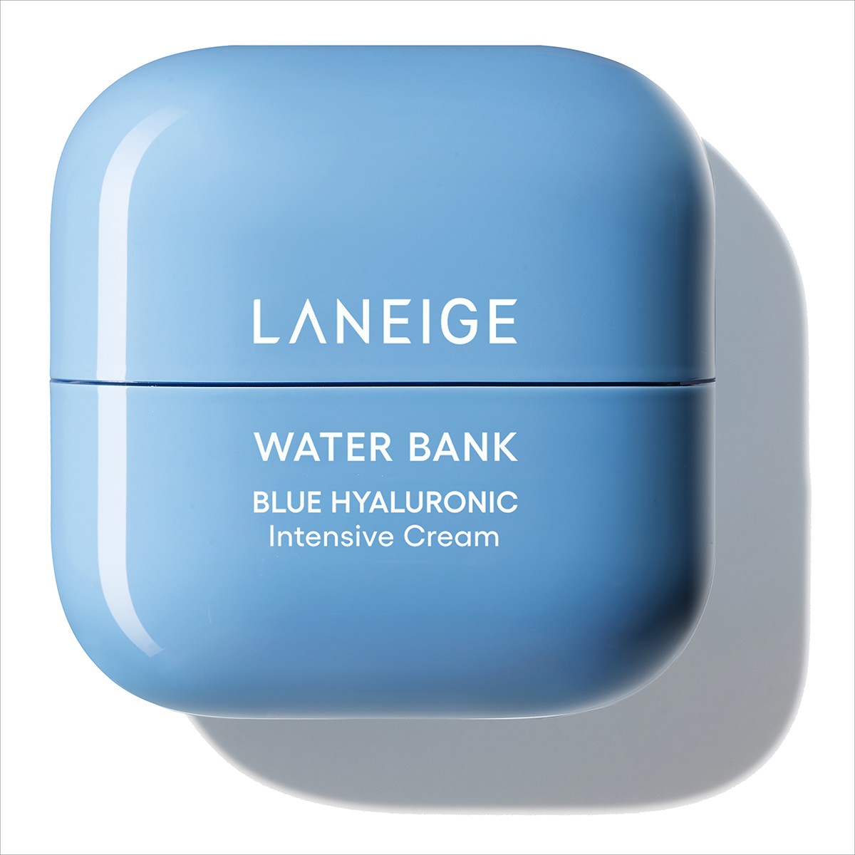 [Phiên bản cải tiến 2024] Kem Dưỡng Ẩm Chuyên Sâu Water Bank Blue Hyaluronic Intensive Cream 50ml (Da khô và Da nhạy cảm)