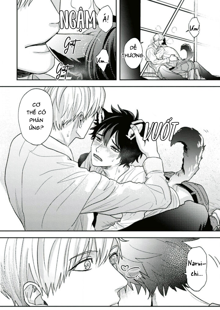 mật ngọt dã thú chapter 6 29