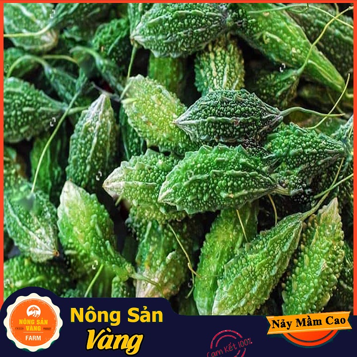Hạt giống Khổ Qua Rừng - Nông Sản Vàng