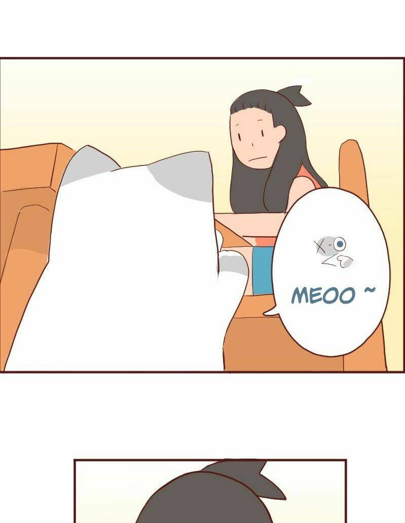 saphie: chú mèo một mắt chapter 6 2