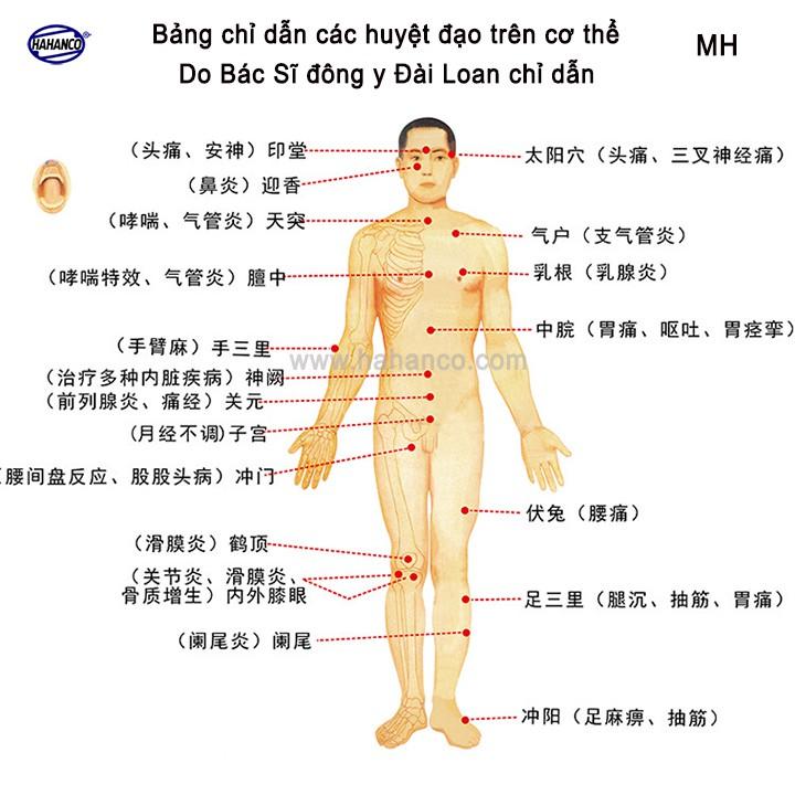 Cây lăn cầu gai bằng sừng trâu cỡ lớn đơn - Dụng cụ diện chẩn (MH830) Chăm sóc sức khỏe