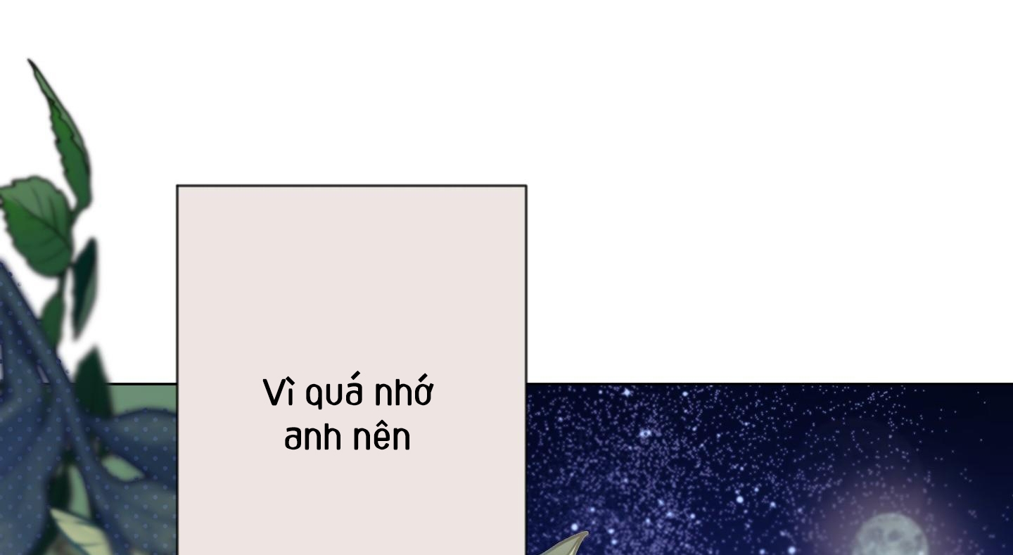 định rõ mối quan hệ chapter 38 182