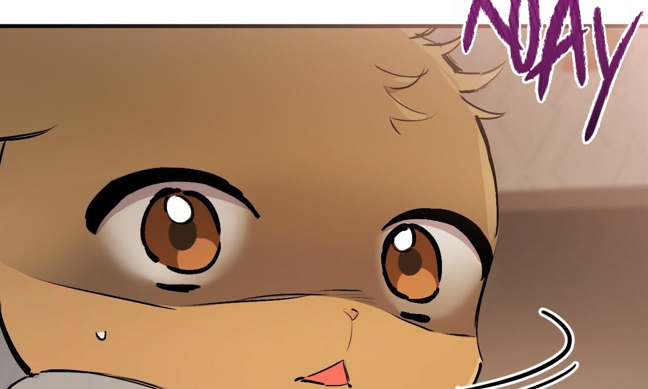 đàn thỏ của habibi chapter 45 22