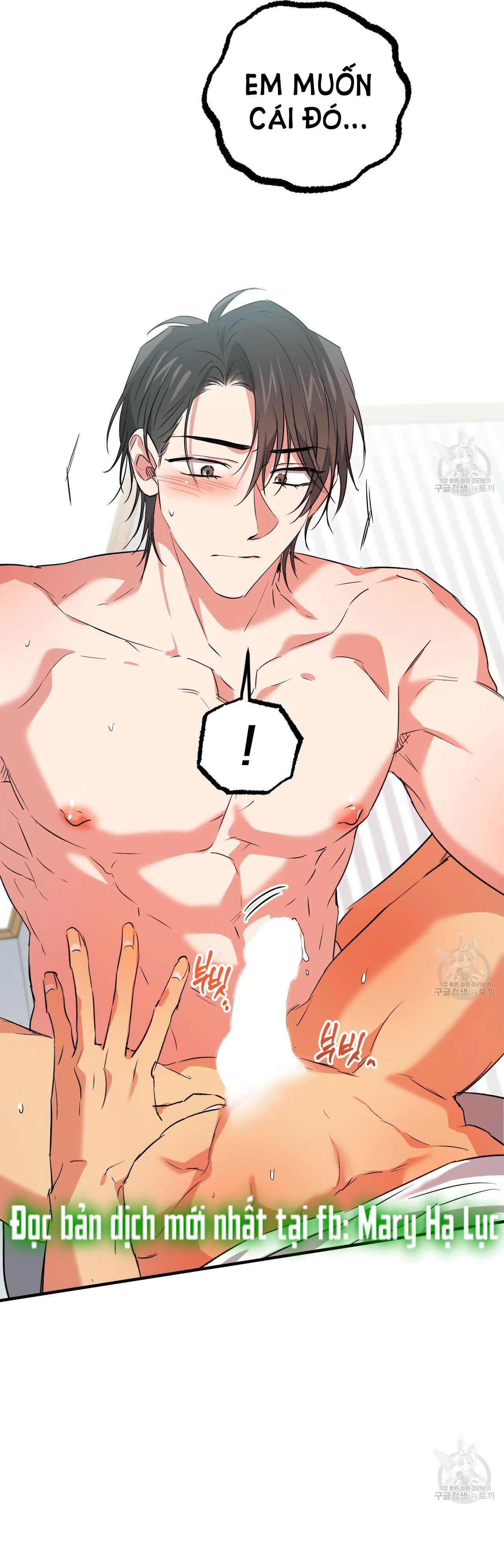 những chú thỏ của hapypy chapter 54.1 16