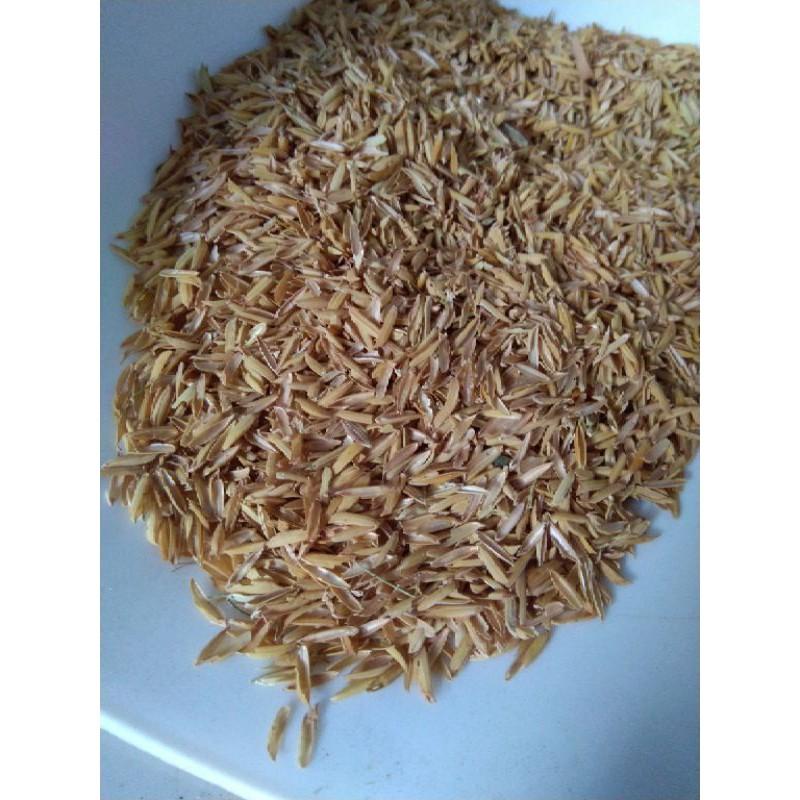 1kg vỏ trấu tươi trộn đất trồng cây, rau- lót chuồng trại
