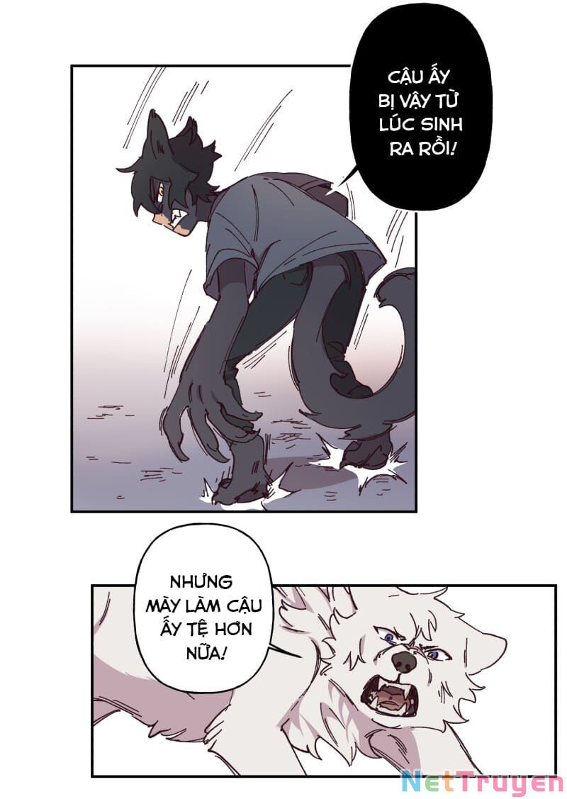 lumine - cội nguồn ánh sáng chapter 92 12