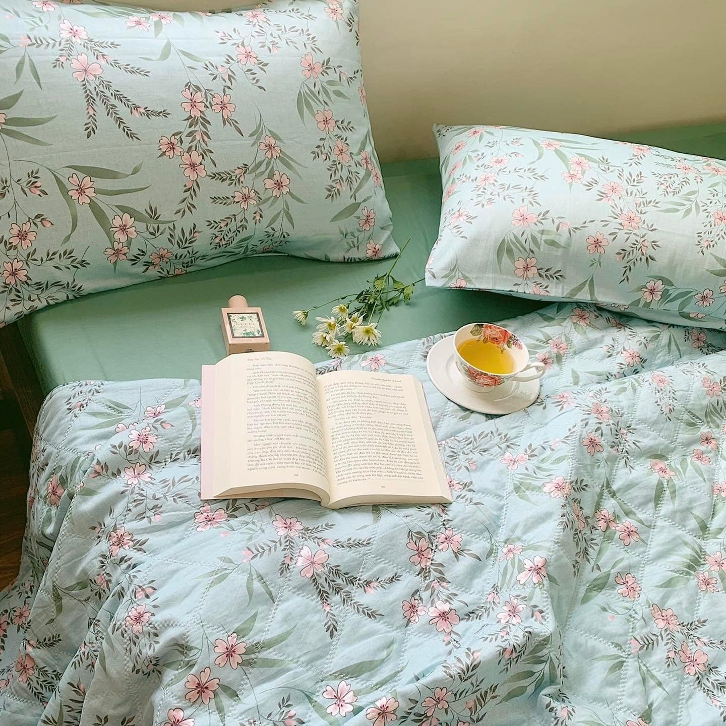 Bộ Ga Gối Vải Cotton Hàn Quốc 4 Món Nệm 20 CM