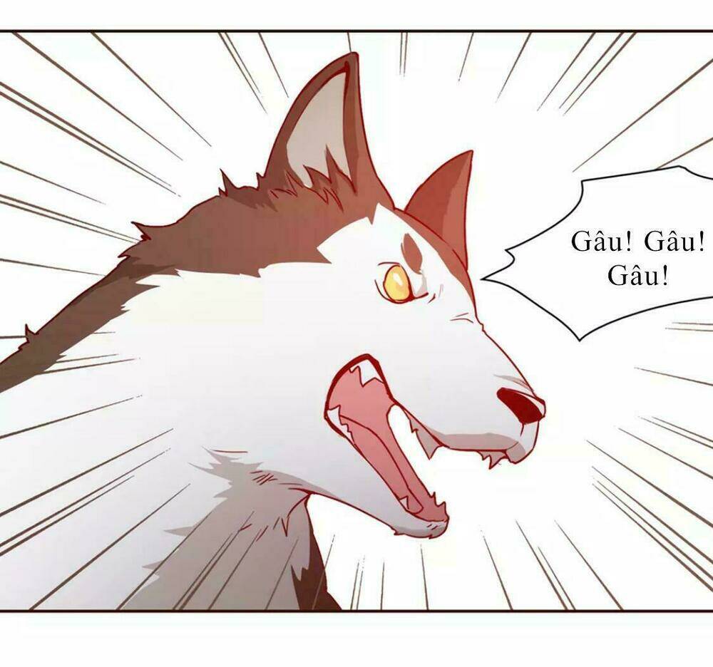 vương diệp, đuôi của ngươi đã biến mất chapter 1 44