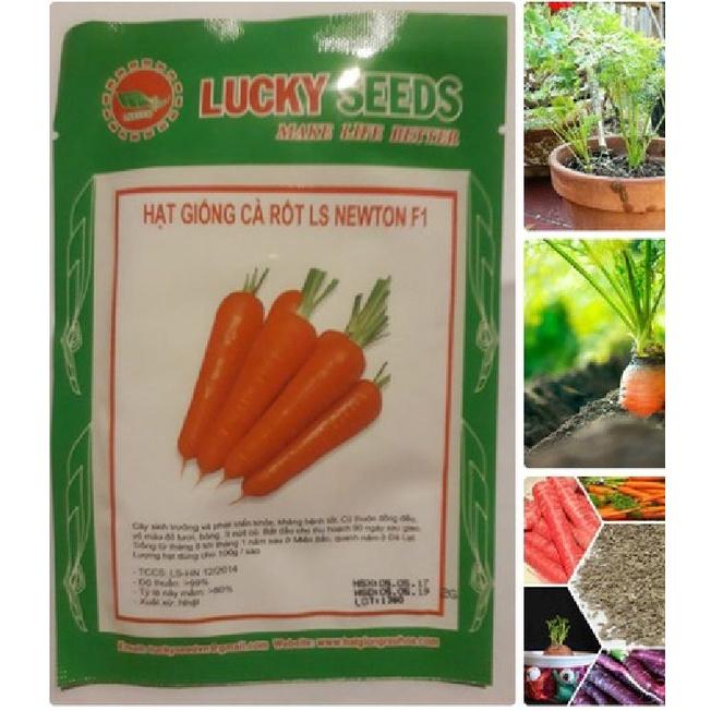 Hạt giống cà rốt chịu nhiệt-gói 100 hạt/tặng kèm gói phân bón lót