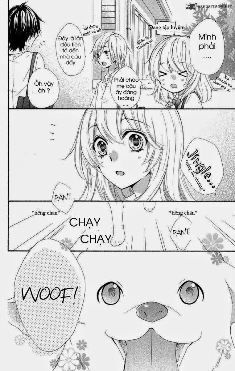 tình yêu của hiyo chapter 21 13