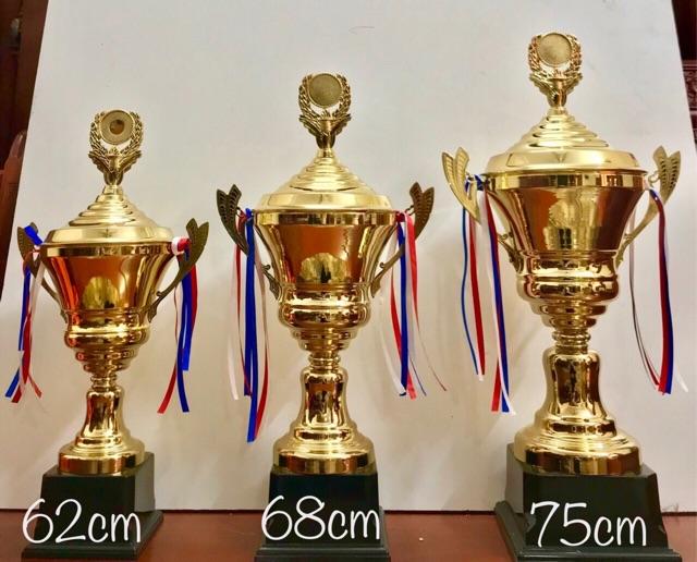 CUP VÀNG BÓNG ĐÁ VÔ ĐỊCH MẪU MỚI SIZE TO